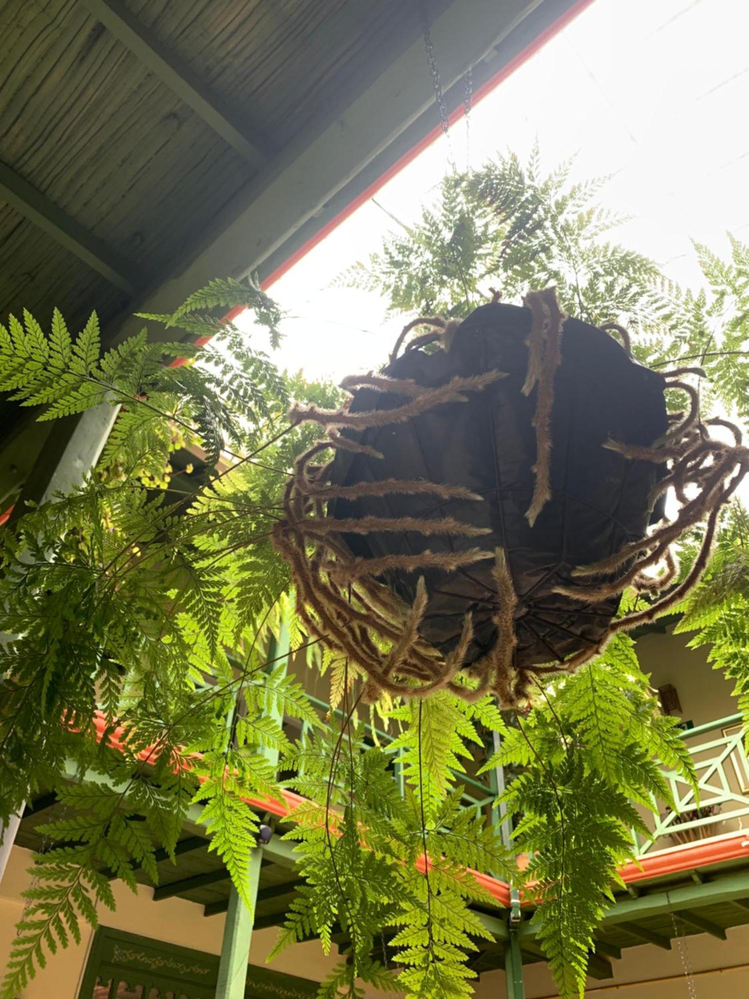Hotel Posada De San Agustin Tunja Eksteriør bilde